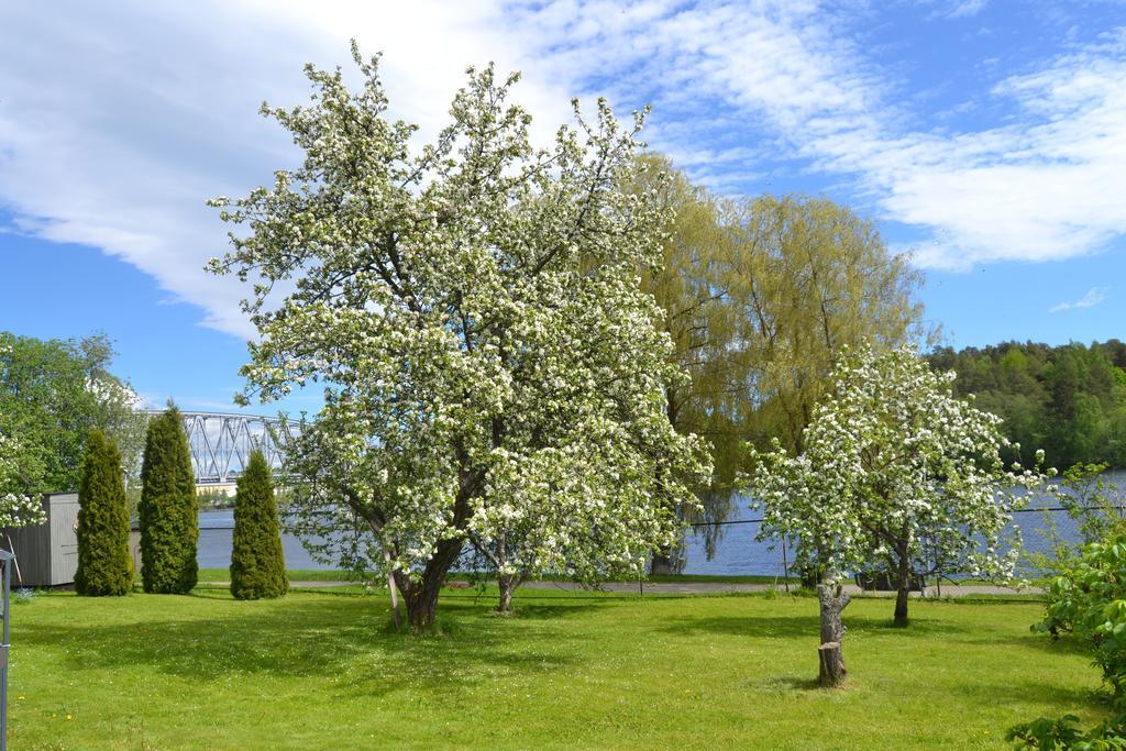 Lossiranta Lodge Savonlinna Luaran gambar